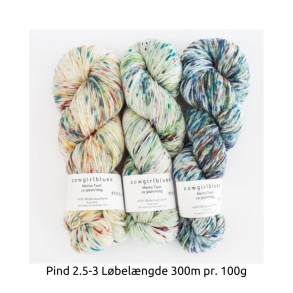 Cowgirl Blues - Merino Twist Gradient