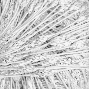 Paris Nights - effektgarn - fv. 011 - 50g