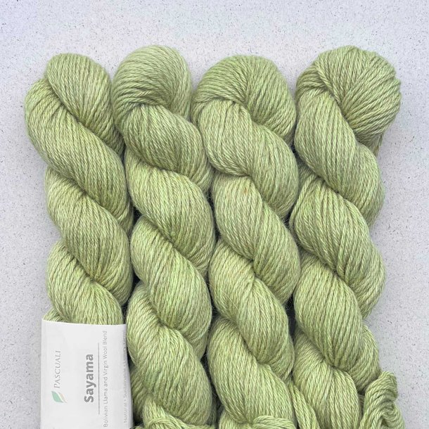 Pascuali - Sayama - lama/hjlandsuld garn - Pistachio 328 - 50g