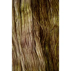 Gusto Wool - Olio - merinould garn - Fv. 2307 - 100g