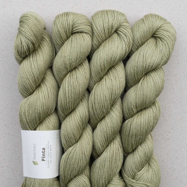 Pascuali - Pinta - silke/ramie/merino uldgarn - Pistacio (105) - 50g