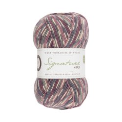 WYS - Signature 4ply Country Birds - uld/strmpegarn - Wood Pigeon 864 - 100g