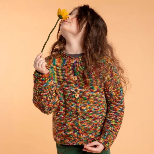 Plassard - Festival Multicolor - Strmpegarn - Fv. 98 - 100g