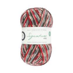 WYS - Signature 4ply Country Birds - uld/strmpegarn - Bullfinch 861 - 100g