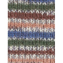 WYS - Signature 4ply Country Birds - uld/strmpegarn - Mallard 862 - 100g