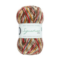 WYS - Signature 4ply - uld/strmpegarn - Robin 941 - 100g