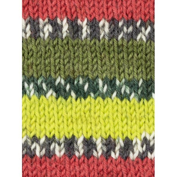 WYS - Signature 4ply Country Birds - uld/strmpegarn - Green Woodpecker 1170 - 100g